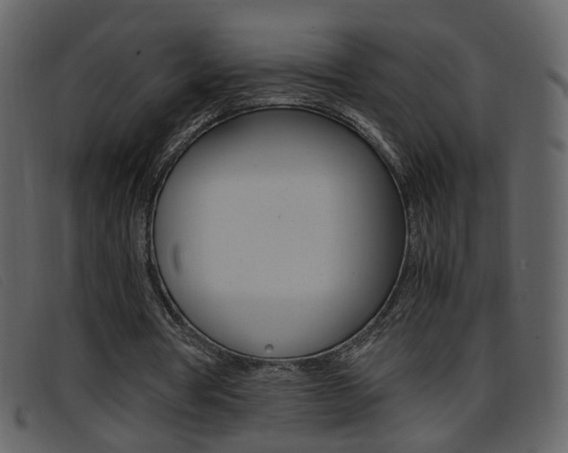 X0000096650386200802050939