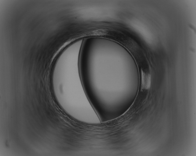 X0000096650387200802050939