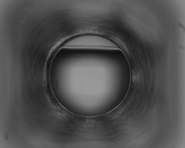 X0000096650388200802050939