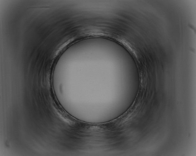 X0000096650390200802050939