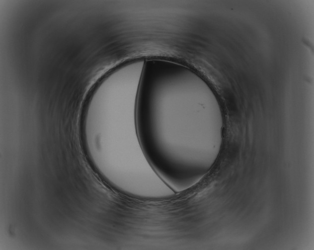 X0000096650391200802050939