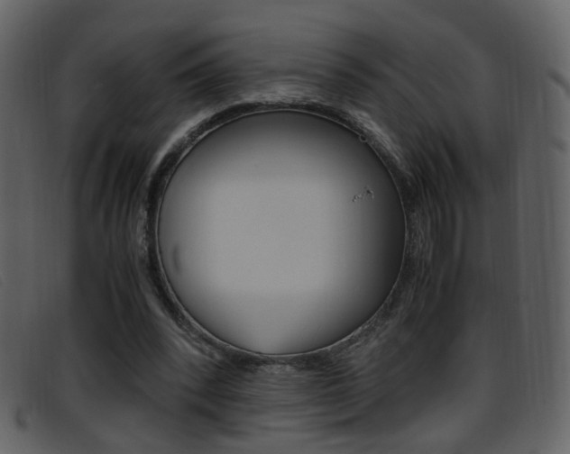 X0000096650392200802050939