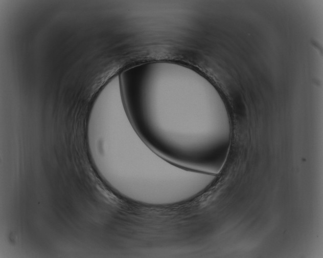 X0000096650393200802050939