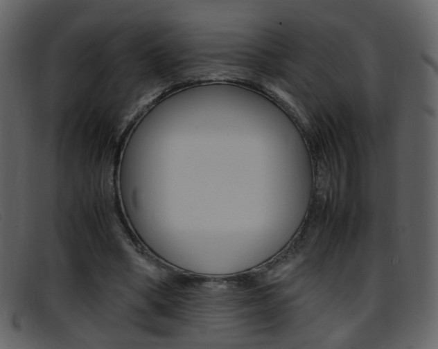 X0000096650394200802050939
