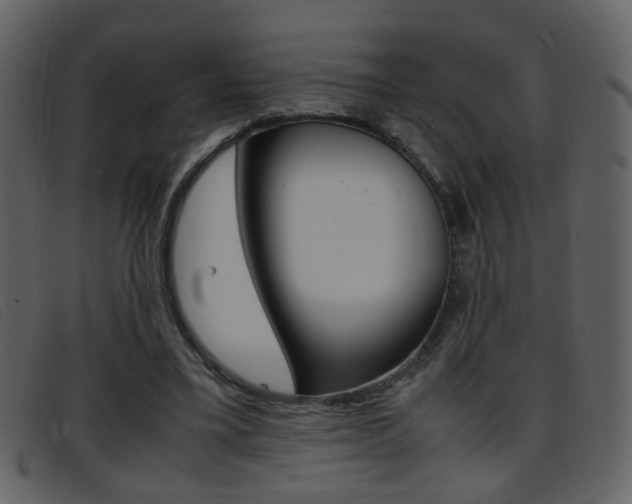 X0000096650395200802050938