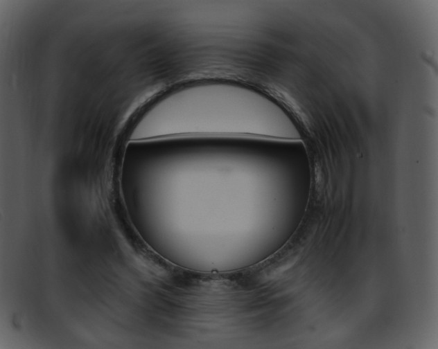 X0000096650396200802050938