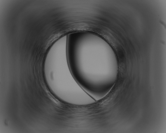 X0000096650397200802050938