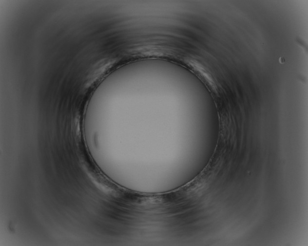 X0000096650398200802050938