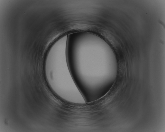 X0000096650399200802050938