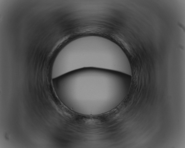 X0000096650400200802050938