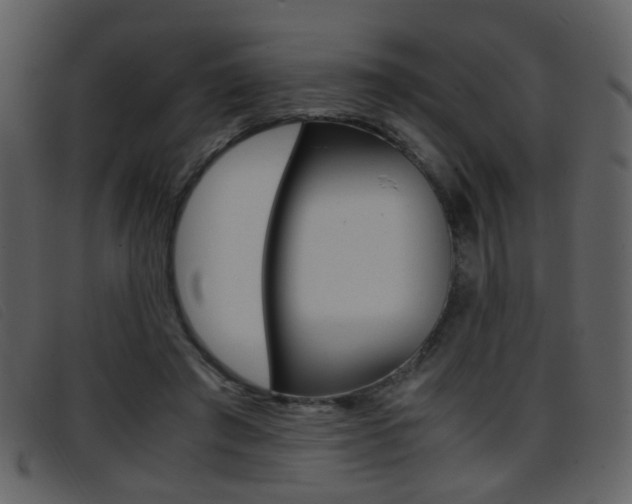 X0000096650401200802050938