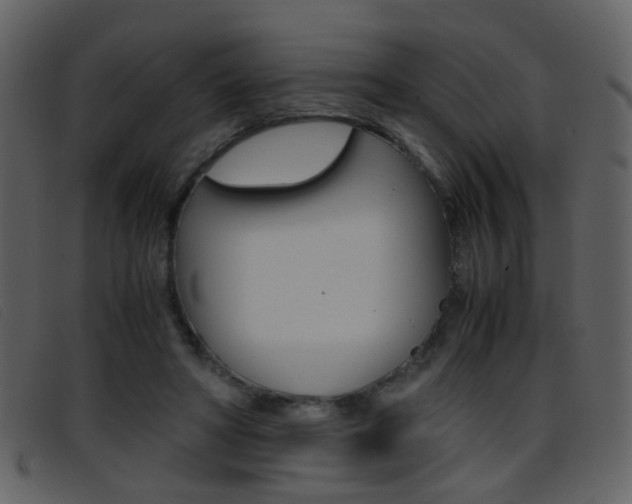X0000096650402200802050938