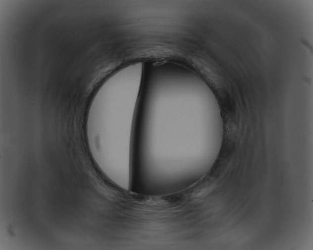 X0000096650403200802050938