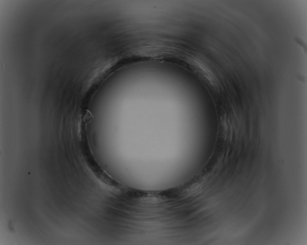 X0000096650404200802050938