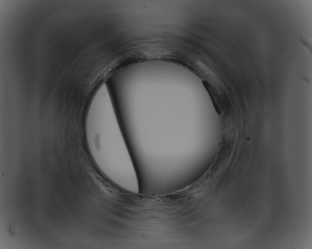 X0000096650405200802050938