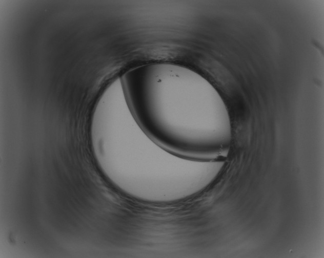 X0000096650407200802050938