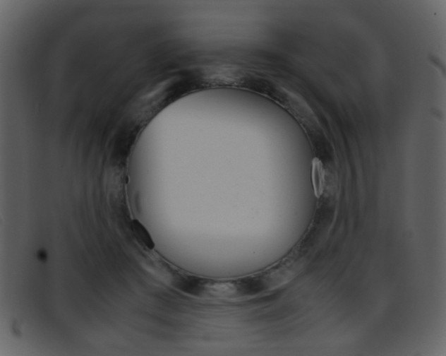 X0000096650409200802050938
