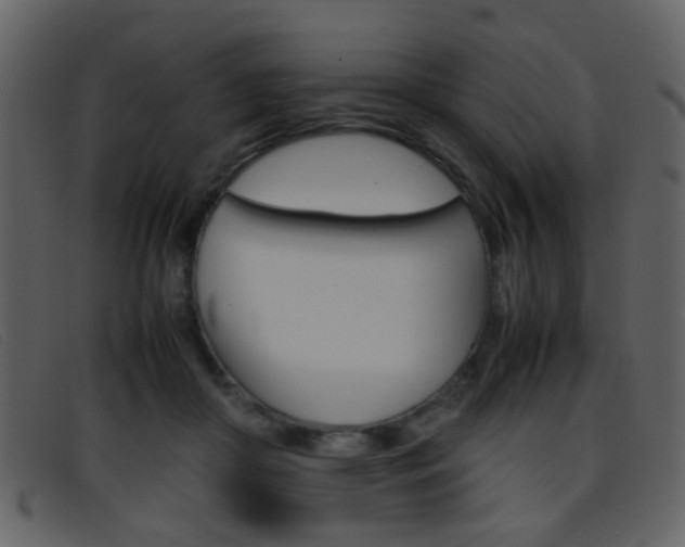 X0000096650410200802050938