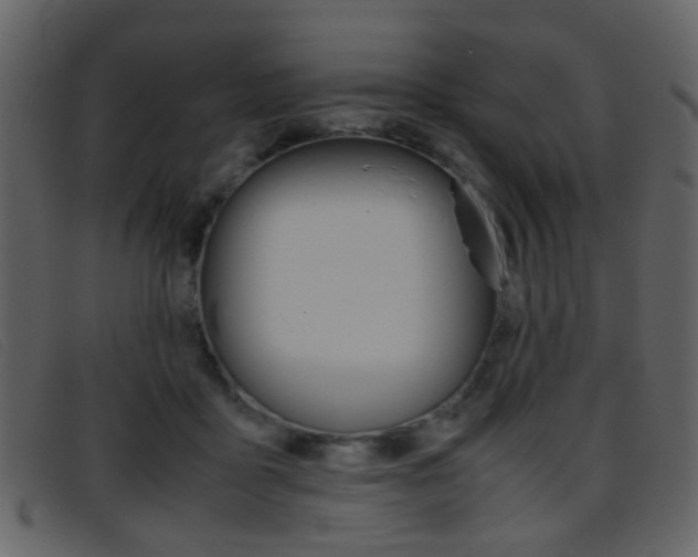 X0000096650411200802050938
