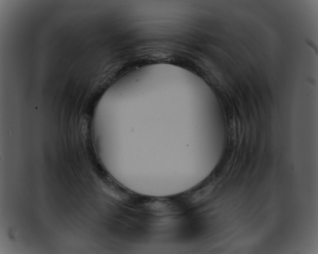 X0000096650412200802050938