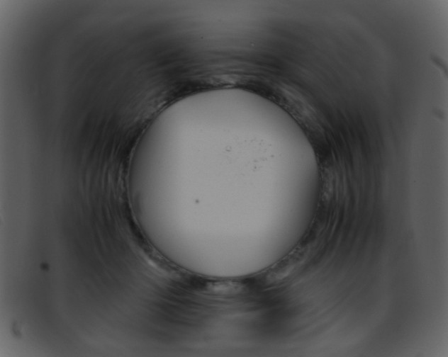 X0000096650414200802050938
