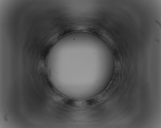 X0000096650415200802050938