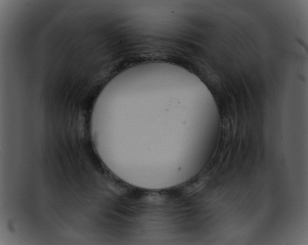 X0000096650416200802050938