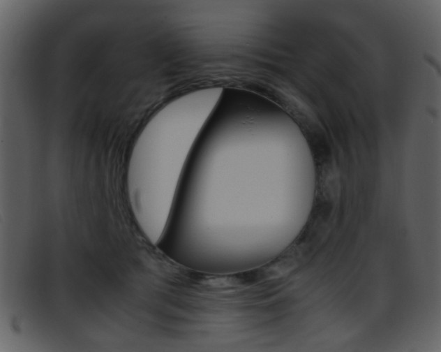 X0000096650417200802050938