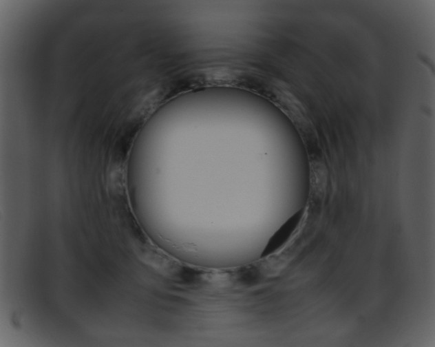 X0000096650419200802050938