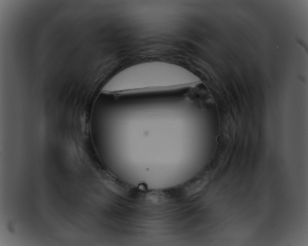 X0000096650420200802050938