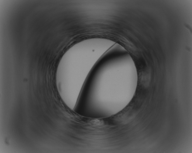 X0000096650421200802050938