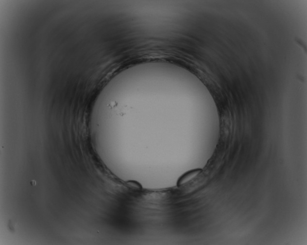 X0000096650422200802050938