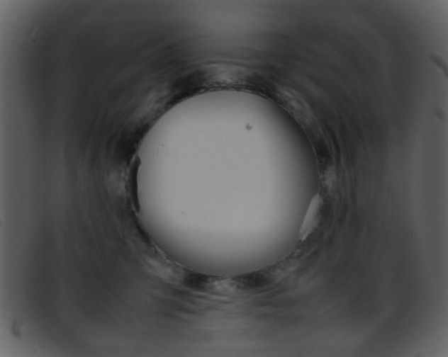 X0000096650423200802050938
