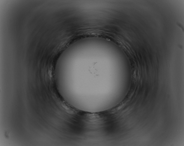 X0000096650424200802050938