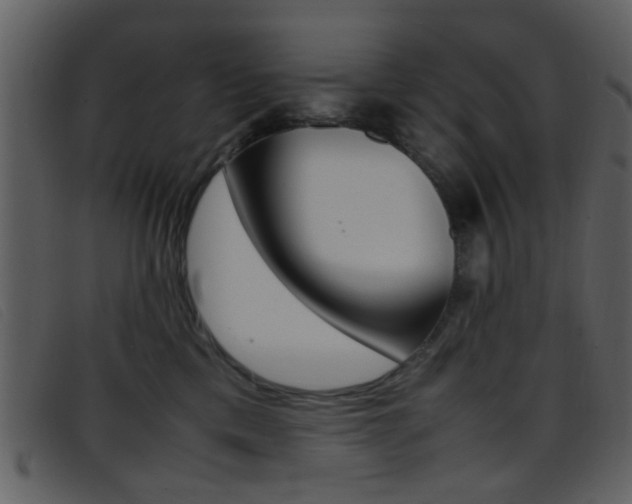 X0000096650425200802050938