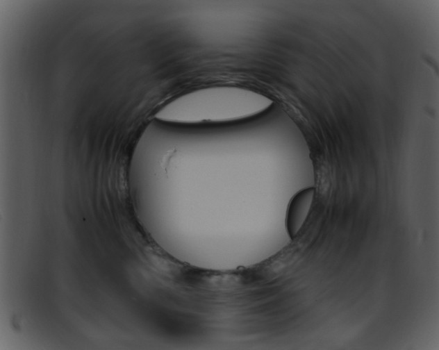 X0000096650426200802050938
