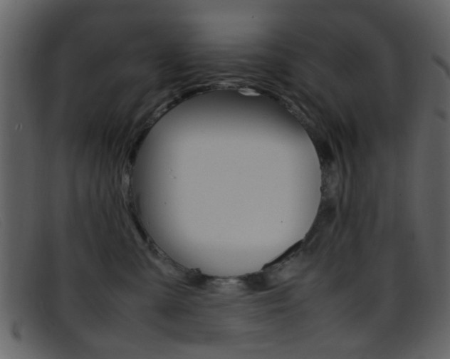 X0000096650427200802050938