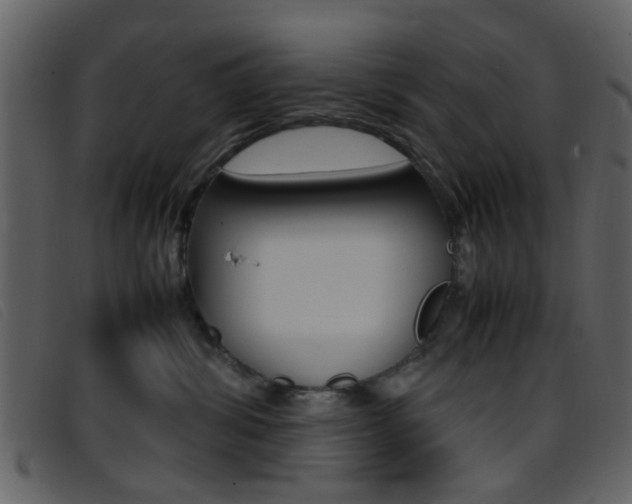 X0000096650428200802050938