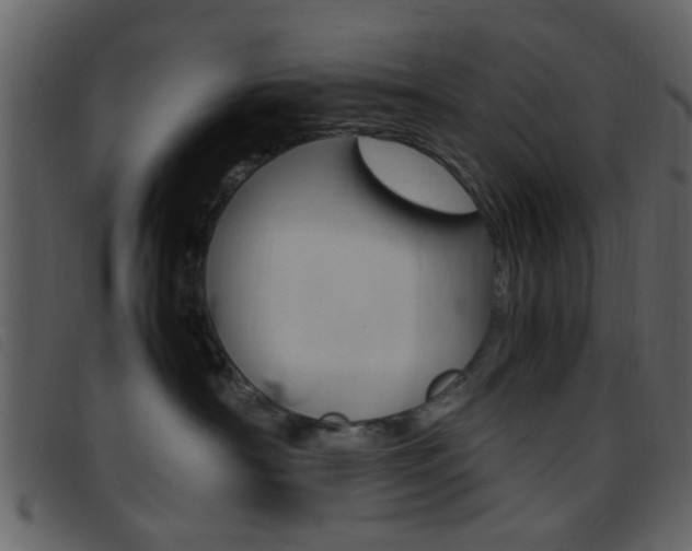 X0000096650430200802050938