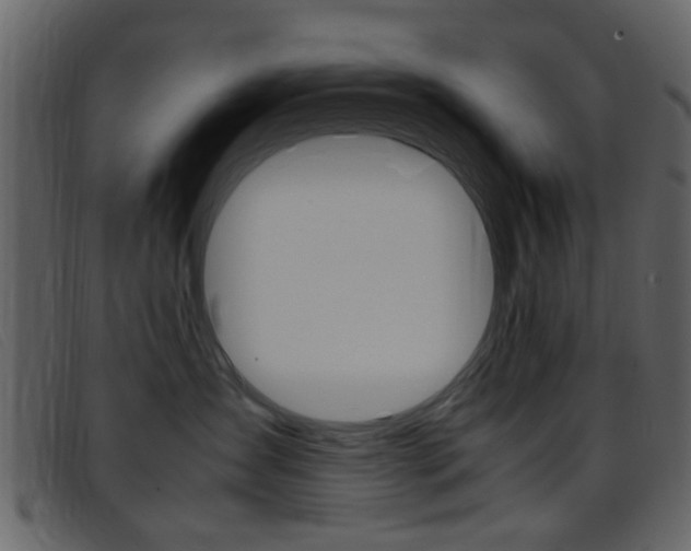 X0000096650431200802050938