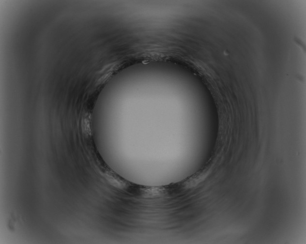 X0000096650432200802050938