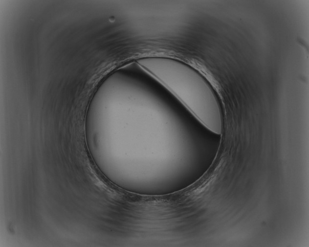 X0000096650433200802050937
