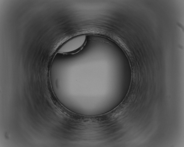 X0000096650434200802050937