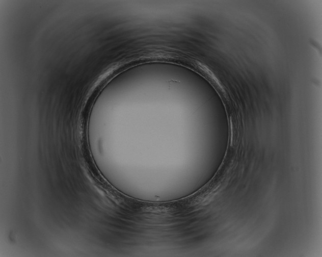 X0000096650435200802050937
