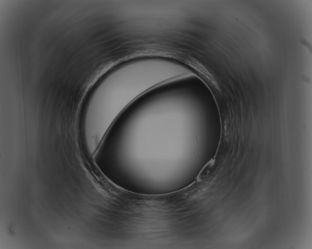 X0000096650436200802050937