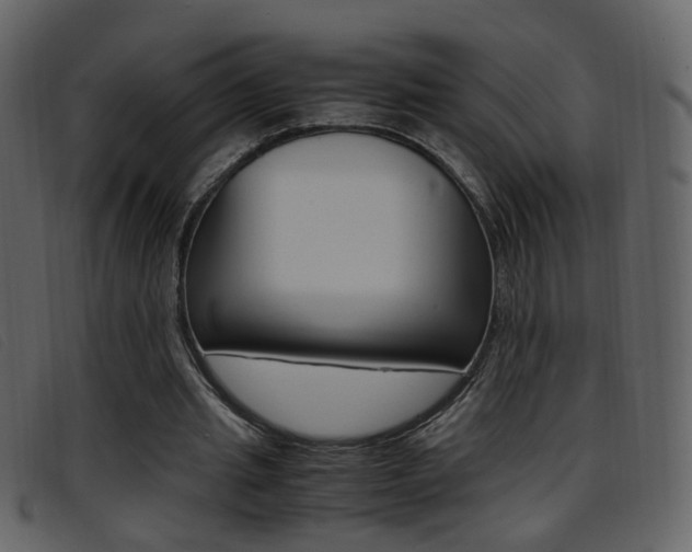 X0000096650437200802050937