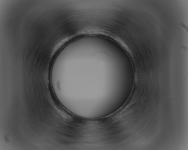 X0000096650438200802050937
