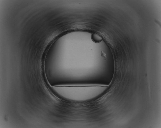 X0000096650439200802050937