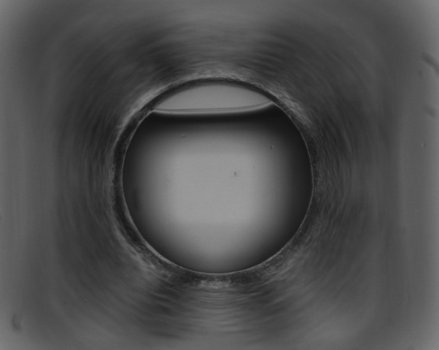 X0000096650440200802050937