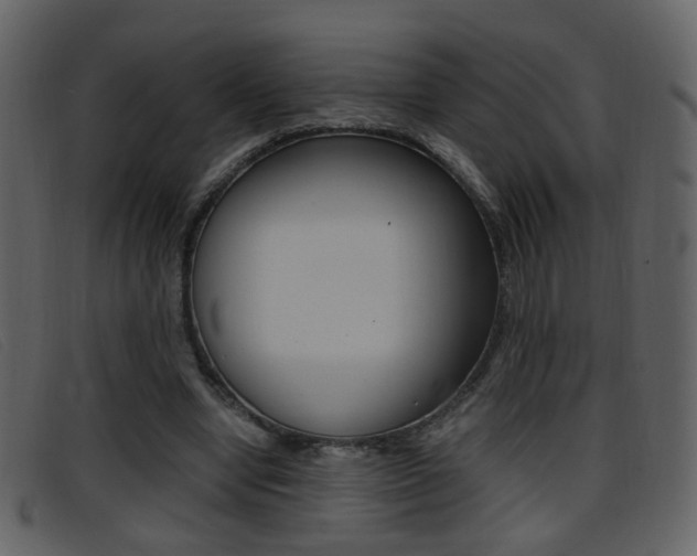 X0000096650442200802050937